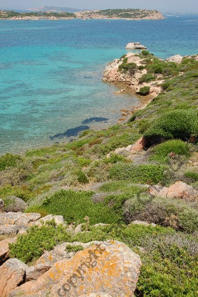 monti-di-rena- 2 arcipelago la Maddalena