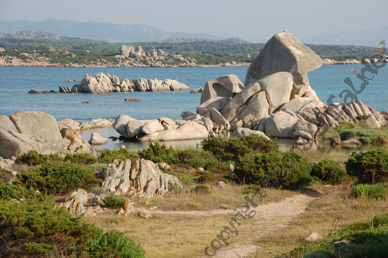 spiaggia_testa_di_polpo_bb_crisalide_la_maddalena_4