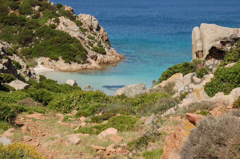 cala-napoletana 3 arcipelago la Maddalena